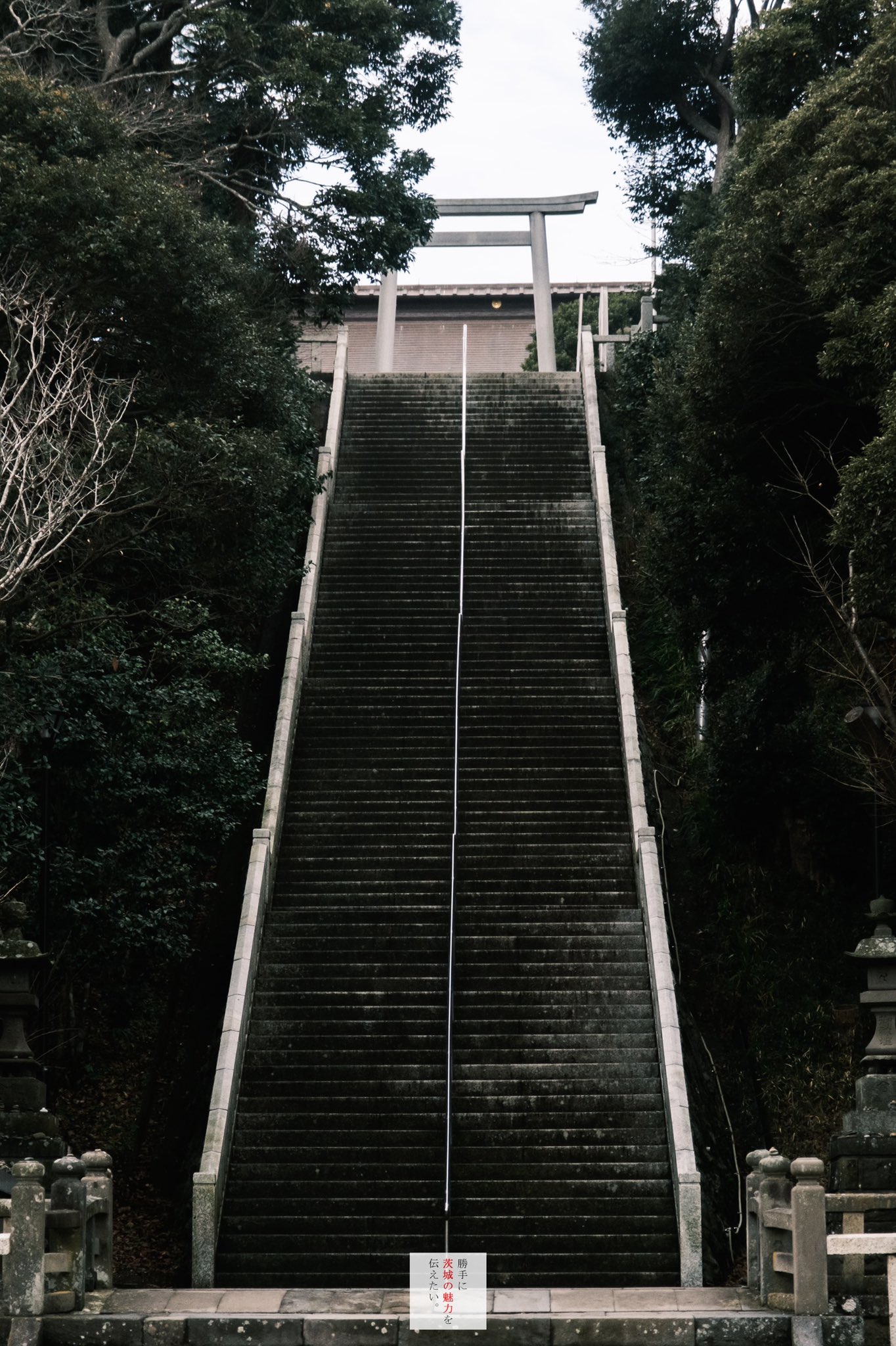 勝手に茨城の魅力を伝えたい 長い階段が印象的な 大洗磯前神社 撮影地 大洗町 大洗磯前神社 勝手に茨城の魅力を伝えたい 茨城 大洗町 大洗 大洗磯前神社 神社 神社巡り 観光スポット 観光茨城 T Co Dzeq40iiuo Twitter