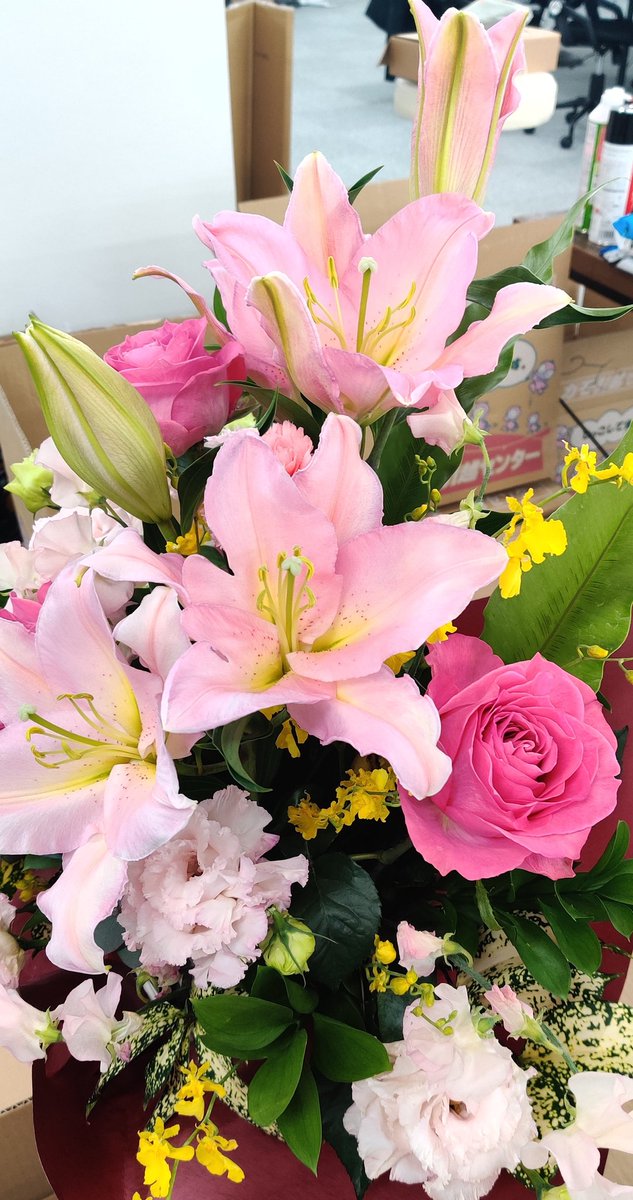 T Koba على تويتر 花束の頂き物は男性も嬉しいですよね 私はまだ貰ったことないですがw