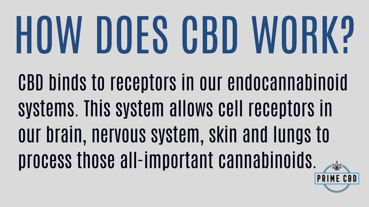 Prime CBD tweet media