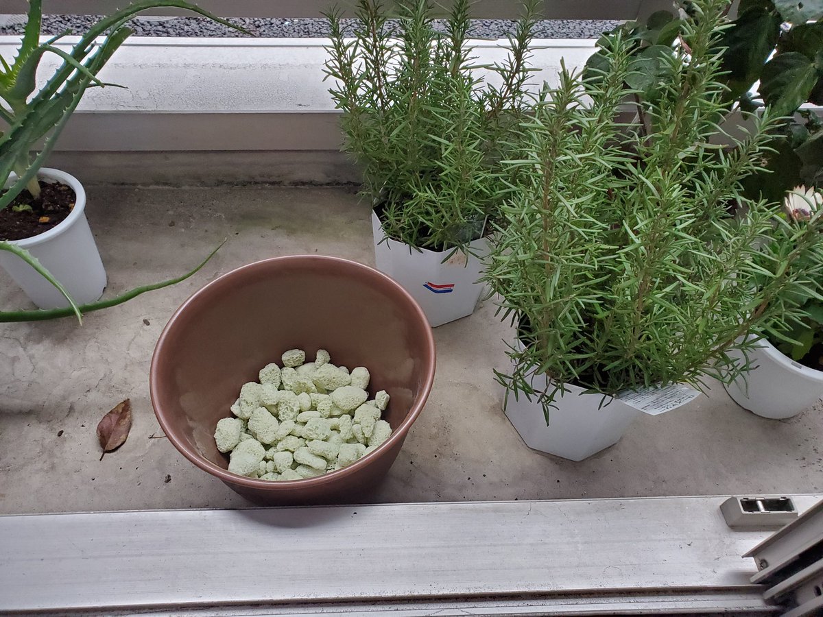 Hirotomo Satou ローズマリーの移植 1 鉢底石を入れて 2 ローズマリーを移し変えて 3 土を入れて 4 たっぷり水をやれば出来上がり 寒い日が続くけど その中で生長する植物は逞しい ゆっくりと 大きく育って欲しいね