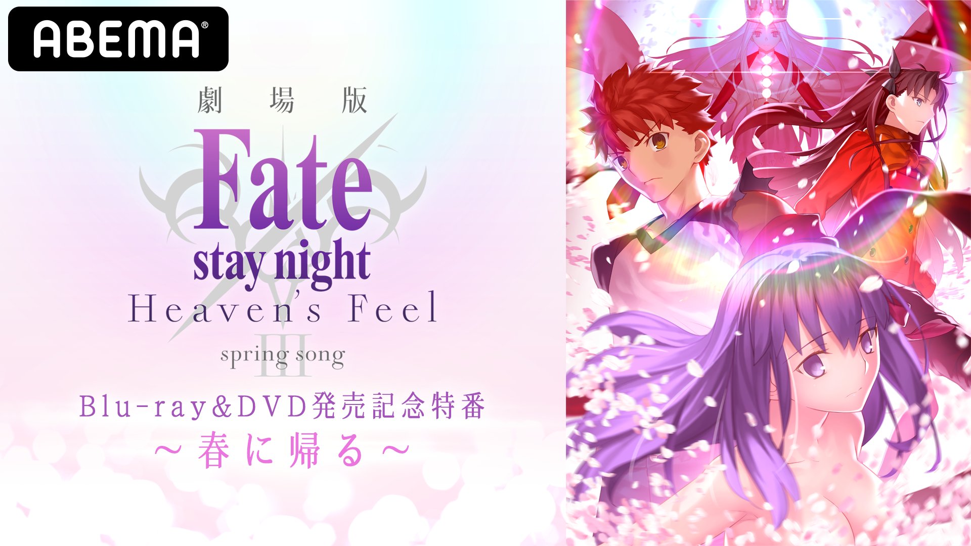 Fate/Stay Night Heaven's Feel III. spring song Blu-ray  