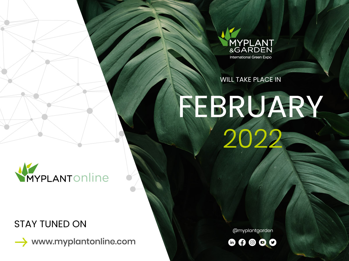 #Myplant: la VI ed. si terrà a #febbraio 2022 | the VI edition will take place in #February 2022
➡️Comunicato ufficiale: myplantgarden.com/comunicati/
➡️->Official press release: myplantgarden.com/en/press-relea…

#StayTuned!