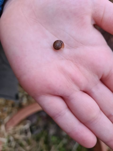 BurnleySSP's tweet photo. Getting to know a tree and Mini Beast Hunt were a success for two of our activity bingo participants as they took part in Walk on the Wild Side! They had a good explore. Well done to Theo and Kai! #activitybingo https://t.co/ecsoImQ7m4