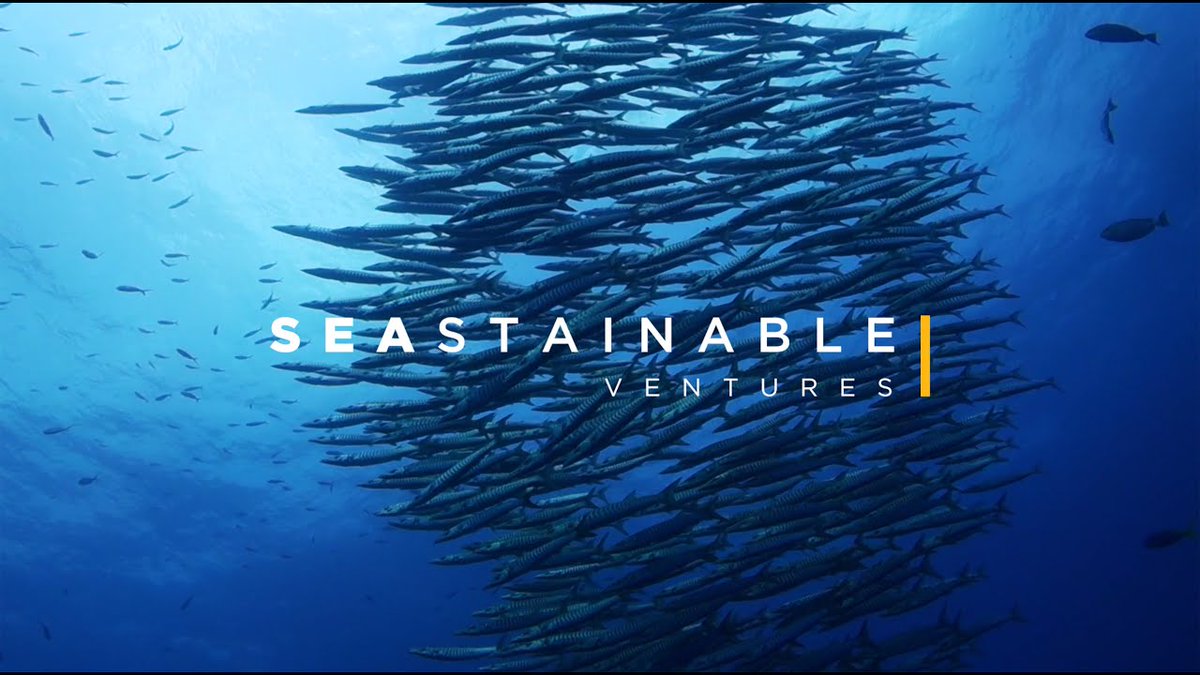 Collaboration agreement between CIT UPC and Seastainable Ventures (<a href="/SeastainableV/">Seastainable Ventures</a>) for the identification and development of sustainable projects or innovations in blue economy upc-cit.com/3sYJF1r