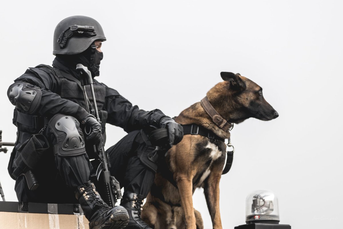 arcscapes's tweet image. NSG Commandos with K9 (Belgian malinois)

#Arcscapes #Nsg #nsgcommandos #k9 #belgianmalinois #RepublicDay2021 #RepublicDayIndia #IndianRepublicDay  #india #indianarmy #Delhi #RepublicDayParade @nsgblackcats @adgpi @Canon_India