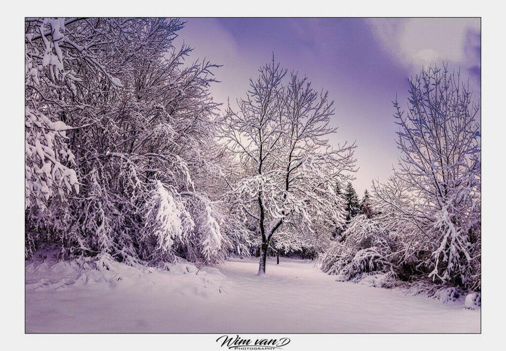 Yanmik's tweet photo. Winter Wonderland.
#winter #snow #white #colours #colorsofnature #naturephotography #photography #stapaf #zoomnl #landscape #belgianphotographer #topbelgiumphoto #visitbelgium #discoverbelgium #natuurpunt #ig_belgium #Belgium #loving_belgium #ThisBelgi… https://t.co/pVOhacXivo https://t.co/qWyiZ1rXzm