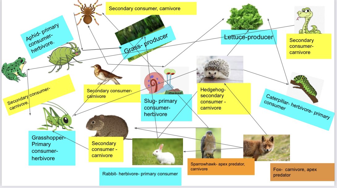 Sharples Science tweet media