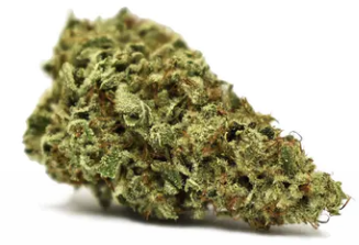 goodcookiestore's tweet photo. White Shark shows characteristics from both a Sativa and an Indica. The flowers are dense, light green and express subtle golden hues. The aroma consists of notes of pine, lemon and complementary grape undertones. Order at https://t.co/AowygdgZ1t!
#colorcannabis #sativa https://t.co/vOjP1Y8Qxe