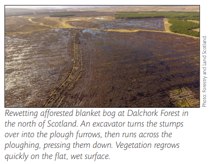 3. Where should forest-to-bog restoration take place? Drying peatlands lose carbon, and old forests planted inappropriately can accelerate that loss. This factsheet surveys the evidence to recommend restoration where trees are growing at YC8 or less.  https://www.forestresearch.gov.uk/research/factsheet-peatlands-forestry-and-climate-change/