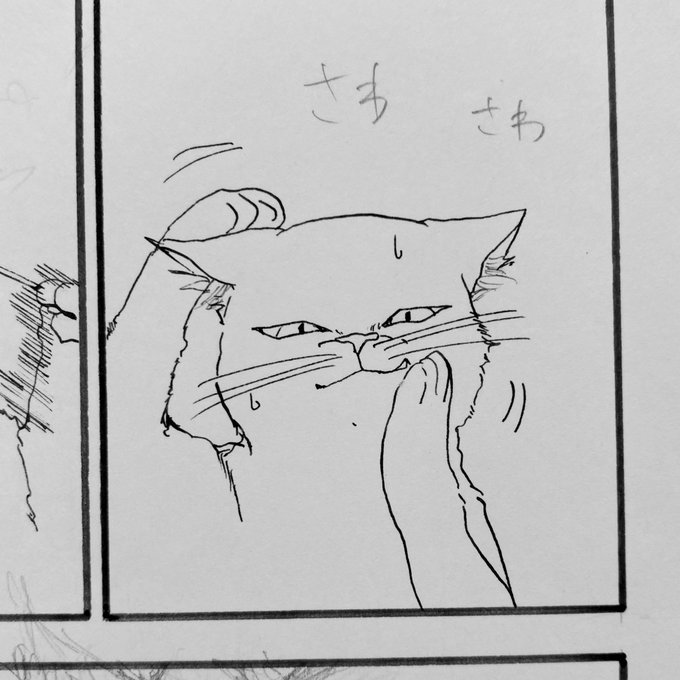 ねこ