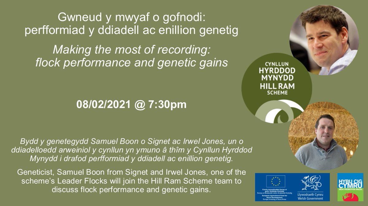 RMDPcymru's tweet photo. Join the #HillRamScheme team on 8 February at 7:30pm where @irwelrabar and @SamBoonBreeding will discuss flock performance and genetic gains.
Register for the webinar here: https://t.co/pQYRIGiMxX
@HybuCigCymru @WalesRuralNet #RDP #flockperformance #agriwebinar https://t.co/QJxjZWJGYl