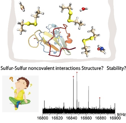 The Characteristics of Disulfide-Centered #HydrogenBonds (Feng) onlinelibrary.wiley.com/doi/10.1002/an…