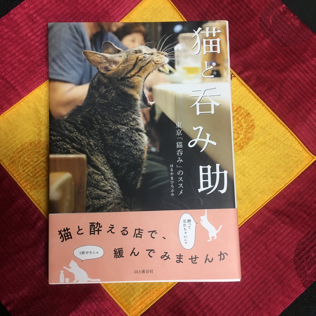 bumyhaly's tweet photo. 著書は、2021.1.27発売の、日帰りで散歩をした『東武鉄道てくてく日帰り散歩旅』と、猫を飼っている店を呑み歩いた『猫と呑み助』、歴史ある酒場を呑み歩いた『百年酒場と呼ばれ』、沖縄を歩きまくった『歩く沖縄』です。よろしくお願いいたします。古いけど、『沖縄裏道NOW！』も好きな本です。 https://t.co/4LyVCu0tOd