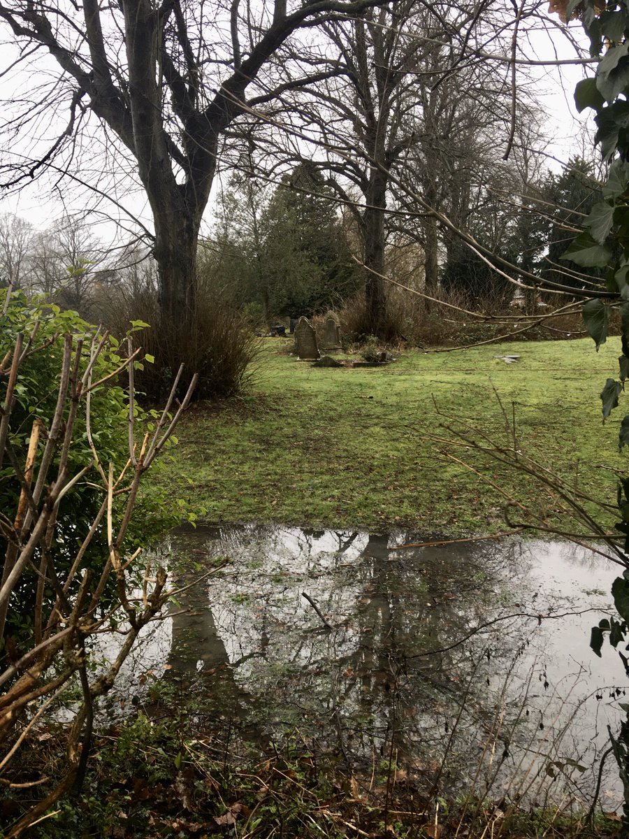FloralRainbowAW's tweet photo. Tried to dodge the rain on our #middaywalk didn’t manage it 😁☔️ the cemetery has a new water feature. Robin, Wood pigeon & numerous Long tailed t*ts in the trees 🥾💦💦🧤 https://t.co/jZefHLTdfa