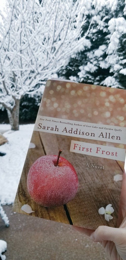 Perfect day to get back into reading! There is something so magical about the first snow of the year. #snowday