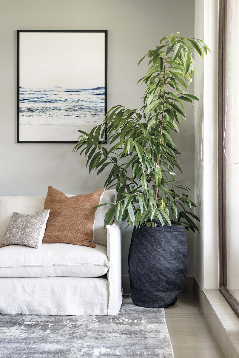 Revista MásDeco tweet media