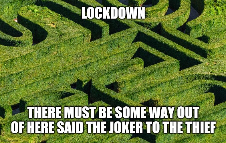 CannActionGroup's tweet photo. @Jenny781852992 @0433b4c7c9644cb There no co coming out of lockdown without a bloody fight. https://t.co/CpynHlG9Cc