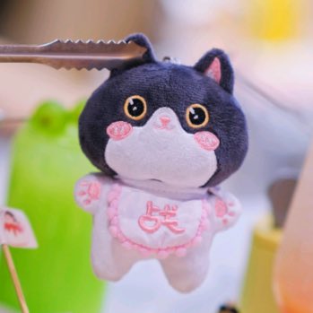 mdstore_th's tweet photo. #MDpreorder 〰️ DB13

🐱 เจียนกั่ว (ตัวแมว+ผ้ากันเปื้อน) 10cm
🐟 ตัวละ 280 บาท (เก็บรอบเดียว)
📮 ค่าส่งในไทย REG 40 / EMS 60
⚠️ ปิดรับ 5 ก.พ. เวลา 17.00 

🛒 https://t.co/x8UkFLnOWf
👆🏻 สั่งซื้อกรอกฟอร์มหรือ DM 📩

#ตุ๊กตา10cm #ตุ๊กตาเซียวจ้าน #ตลาดนัดเซียวจ้าน https://t.co/hcpYVmXHbD
