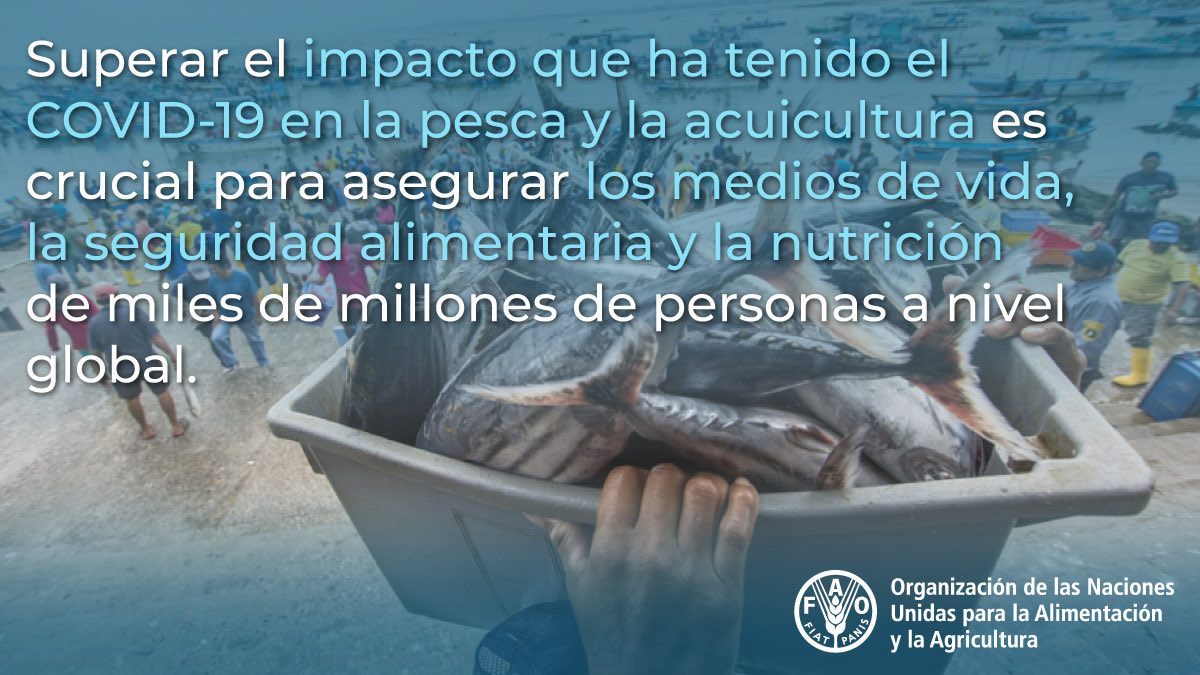 alejandro flores nava (@alflona5) on Twitter photo 