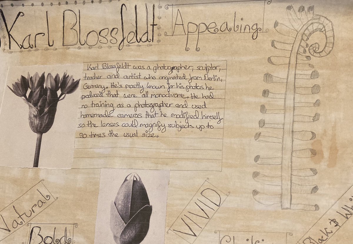 artpenketh's tweet photo. Year 9’s have been working on their Karl Blossfeldt research pages with a focus on composition and lettering - great work 🌟 #artpenketh https://t.co/fk7nsYnIoI