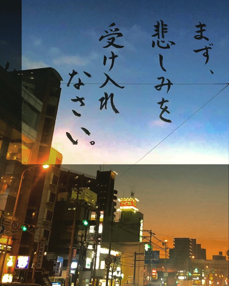 せんねんじ 専念寺 日本一綺麗なガリョウビンガが見れます 今日の法語 まず悲しみを 受け入れなさい 悲しいときは悲しむ 自分の悲しさを受け入れことこそが悲しみから癒える方法です 悲しい 悩み相談 カウンセリング 夜景 喜連瓜破 名言 格言