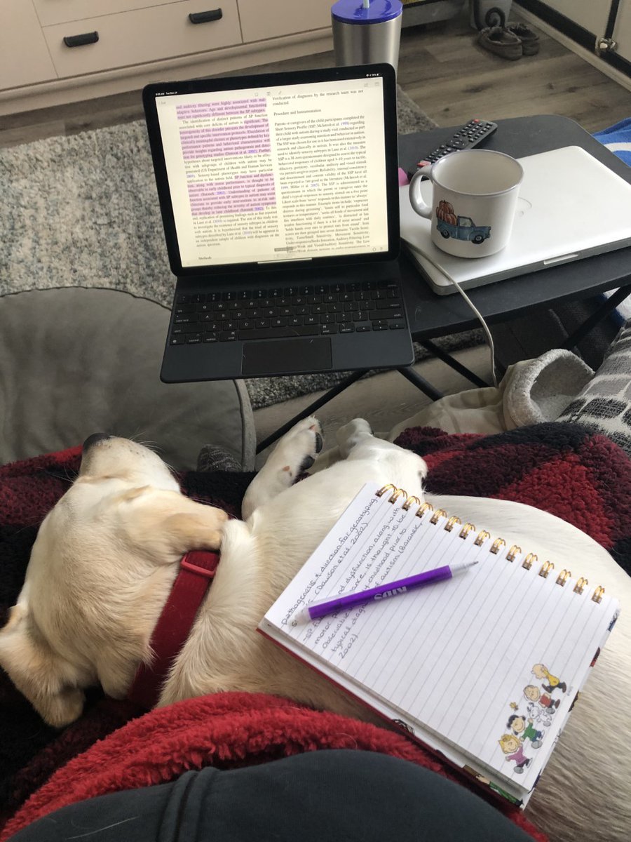 Keeping our community together while respecting public health guidelines is hard. To brighten some of the winter days we did our first photo competition this Fall/Winter and had a public vote for the winners:
Next up is the "Postdoc life in 2020" Winner - Nichole Scheerer