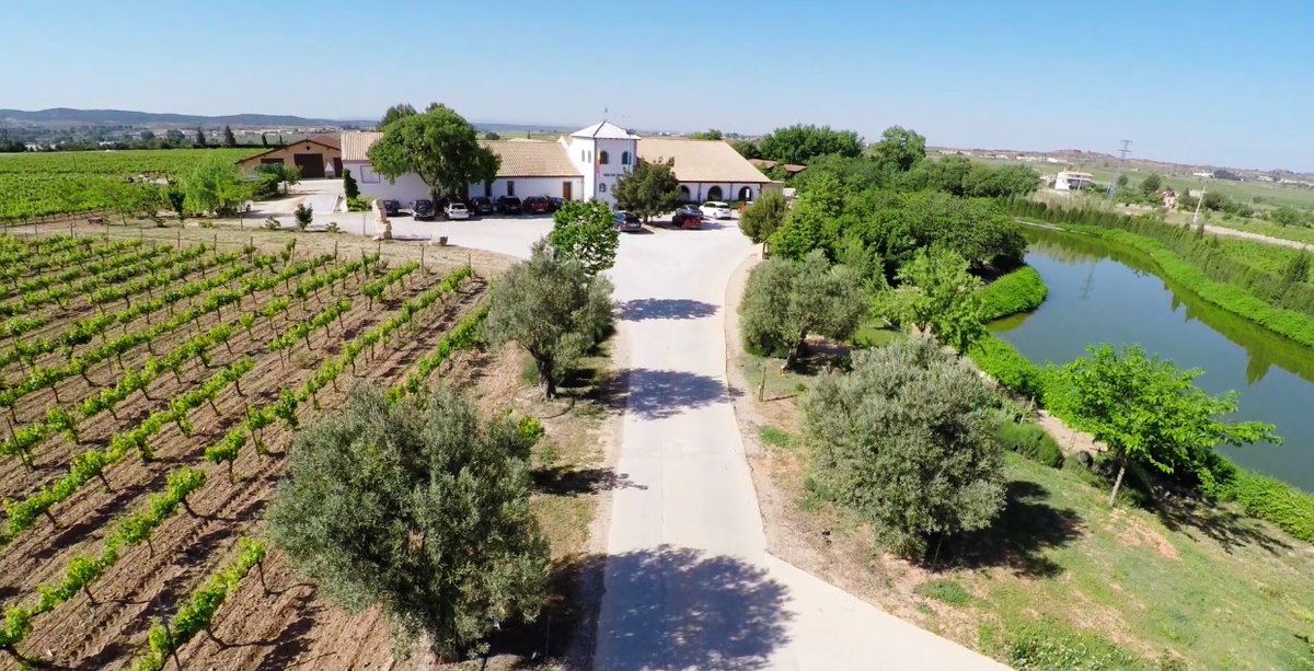 RutaVinoUtielRequena tweet media