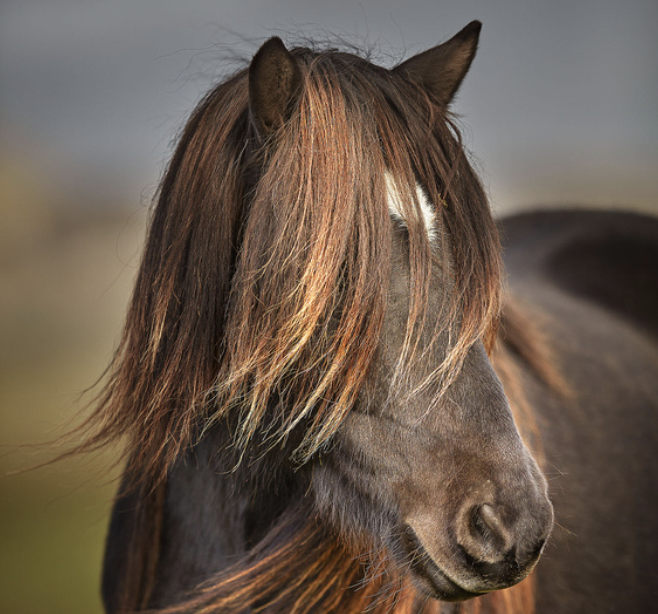 6. Write about things that don't make sense.The things that surprise you will surprise your readers as well.