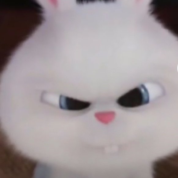 💭🐰 (@jihansthinker) on Twitter photo 