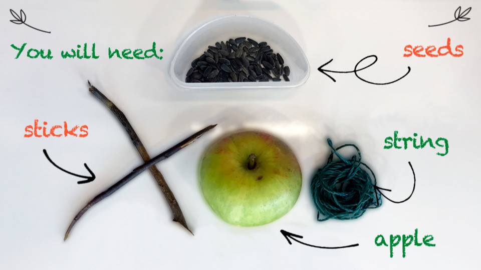 MerchiJuniors's tweet photo. We’re very excited about our new Winterwatch projects in the Juniors and sharing them with family and friends! Why not begin by making a bird feeder and see who visits your garden or window sill? 

https://t.co/ApamWh6kXG

#virtualmerchiston #noscreenchallenge #winterwatch https://t.co/fuJebRjVOq