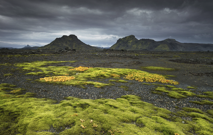 9. Write CLEAR sentences.- Create a rhythm- Link your sentences- Eliminate anything that adds confusion- Add colorful details- Remove unnecessary detailsRemember: Great editing makes for great writing.