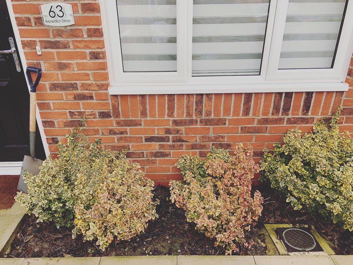 claireburrows07's tweet photo. Little gardening project completed ... and I love it!! Not a huge job but I think it looks so much better now! 🪴
Cheeky little Before and After pics! 📸
#gardenlife #gardenproject #topiarytree #productivemorning #LockdownLife #NewHome #DayOff https://t.co/Hx7Xo3xSNr