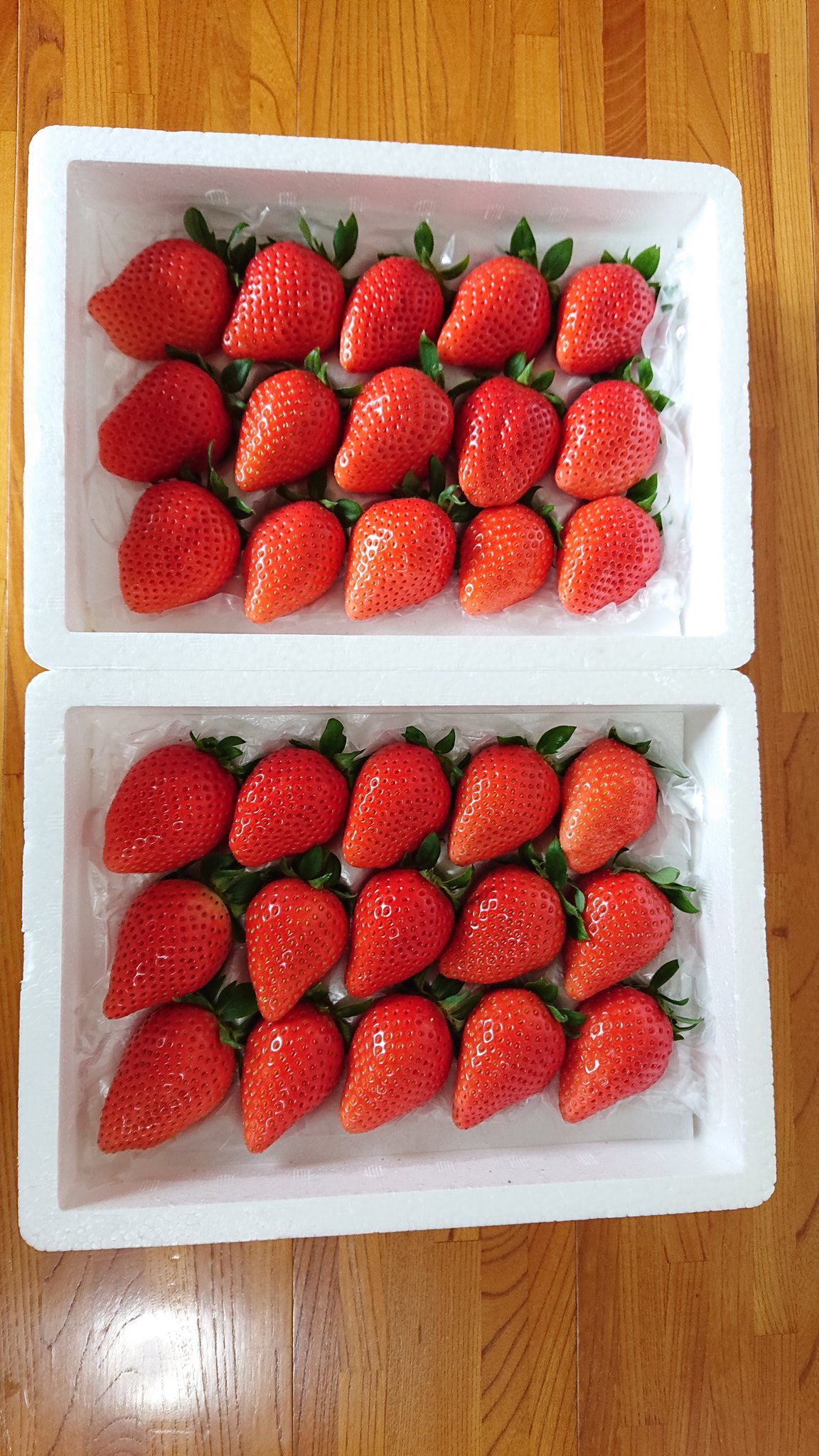 川口いちご園 Twitter Search Twitter