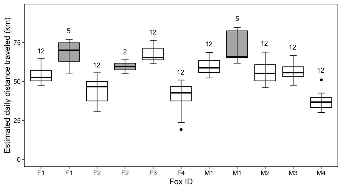 When estimated with a fix interval of 4 min, daily distances traveled by arctic foxes averaged 51.9 ± 11.7 km and reached 76.5 km. 3/5