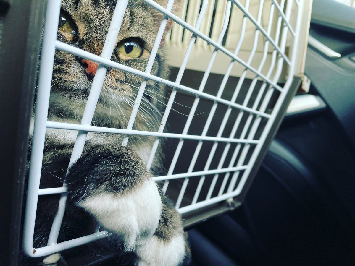 Someone isn’t happy 😂