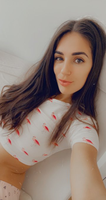🦩🦩🦩 https://t.co/EQUenlsVqF