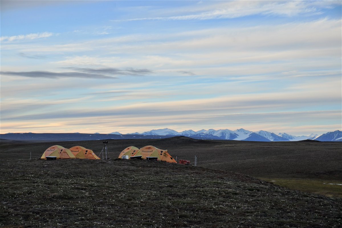 A huge thank you to everyone who helped during this long journey - this whole experience was immensely valuable and was my first introduction to movement ecology! Time spent in the field and on R would not have been as fun without you all! 5/5