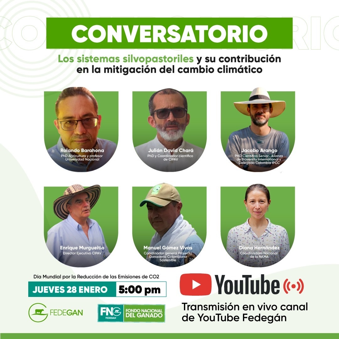 Jacobo_ABC's tweet photo. HOY jueves 28 de enero 5pm: Cordialmente invitados al conversatorio sobre sistemas silvopastoreiles 🌳🤠🐄 y su contribución al cambio climático
Link youtube: https://t.co/BJZWr0Dqqj
@Fedegan Fundación CIPAV y @BiovIntCIAT_esp 
@cgiarclimate_LA @Livestock_CGIAR https://t.co/mfDT35m53o