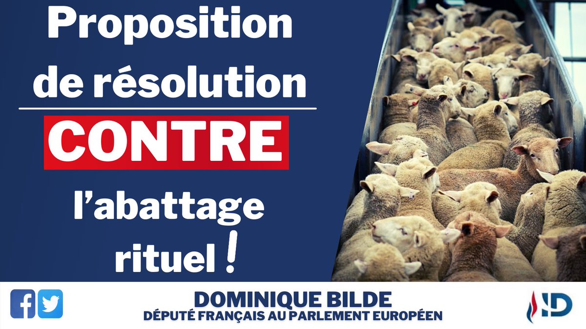 #Abattage, transport: la #France et l'UE doivent agir contre la souffrance animale, à l'heure où 84% de nos compatriotes sont contre l'abattage rituel.
Retrouvez ma proposition de résolution @GroupeID_FR
#StopAbattageSansEtourdissement #bienetreanimal   ⤵️
europarl.europa.eu/doceo/document…