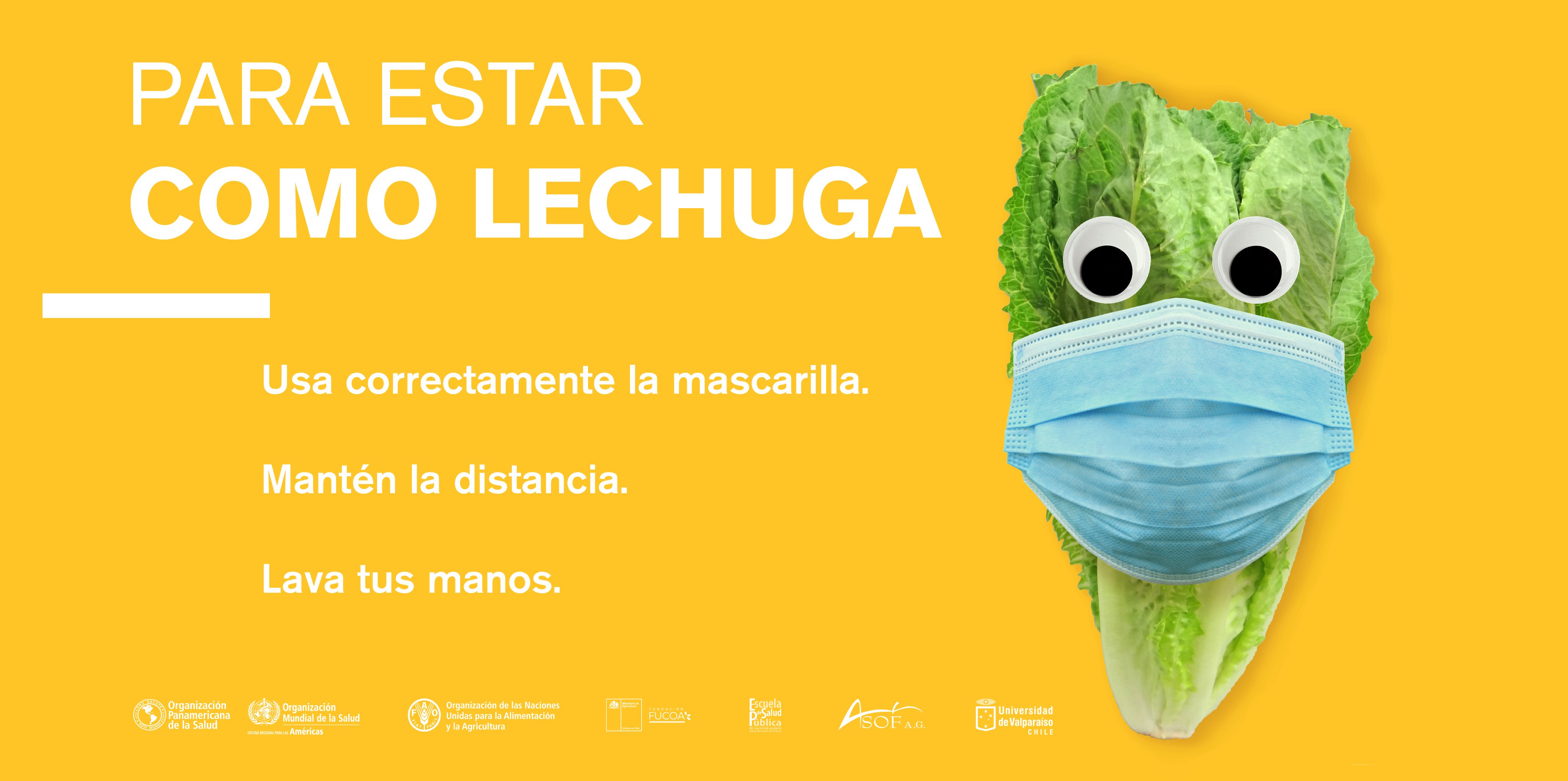 Esp U De Chile Ø¹Ù„Ù‰ ØªÙˆÙŠØªØ± Para Estar Como Lechuga Cuando Vas A La Feria No Olvides Que Las Recomendaciones Para Prevenir El Covid19 Pueden Salvar Tu Vida Y La De
