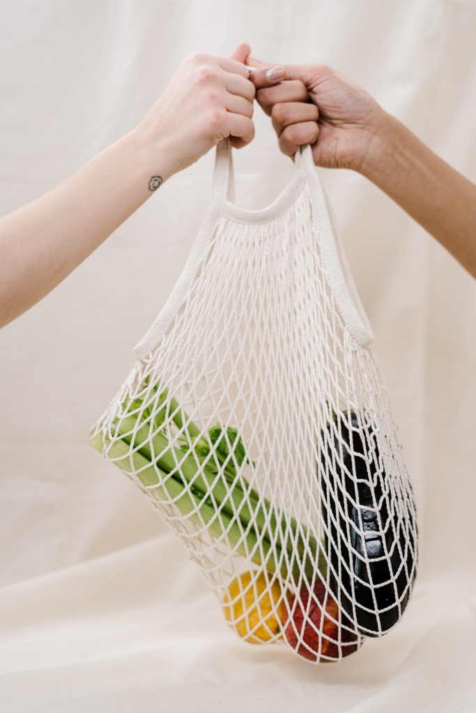 RoadSustainable's tweet photo. Did you know? 
The avg family uses approx. 100 to 700 plastic bags per year⁠
Approx. 500 single use plastic bags are replaced by 1 reusable bag

#eco #ecofriendly #zerowaste #sustainable #nature #green #sustainability #environment #plasticfree #savetheplanet #recycle https://t.co/qTuJxsUPtQ