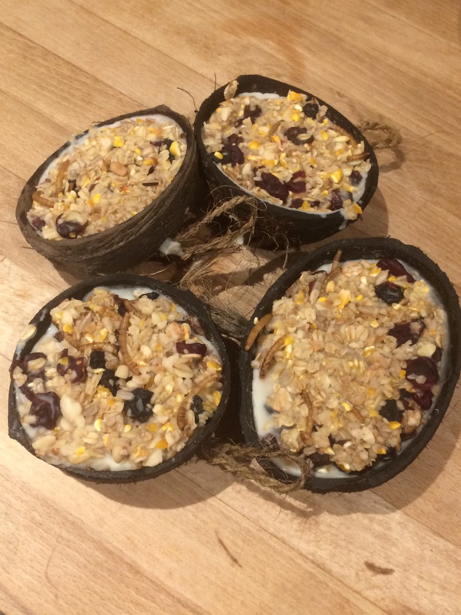 EldridgeJennie's tweet photo. @UA_DTA I’ll be taking part. I’ve just made a new batch of food using the lovely @silverpebble recipe from #makingwinter https://t.co/UG8snkEjeP