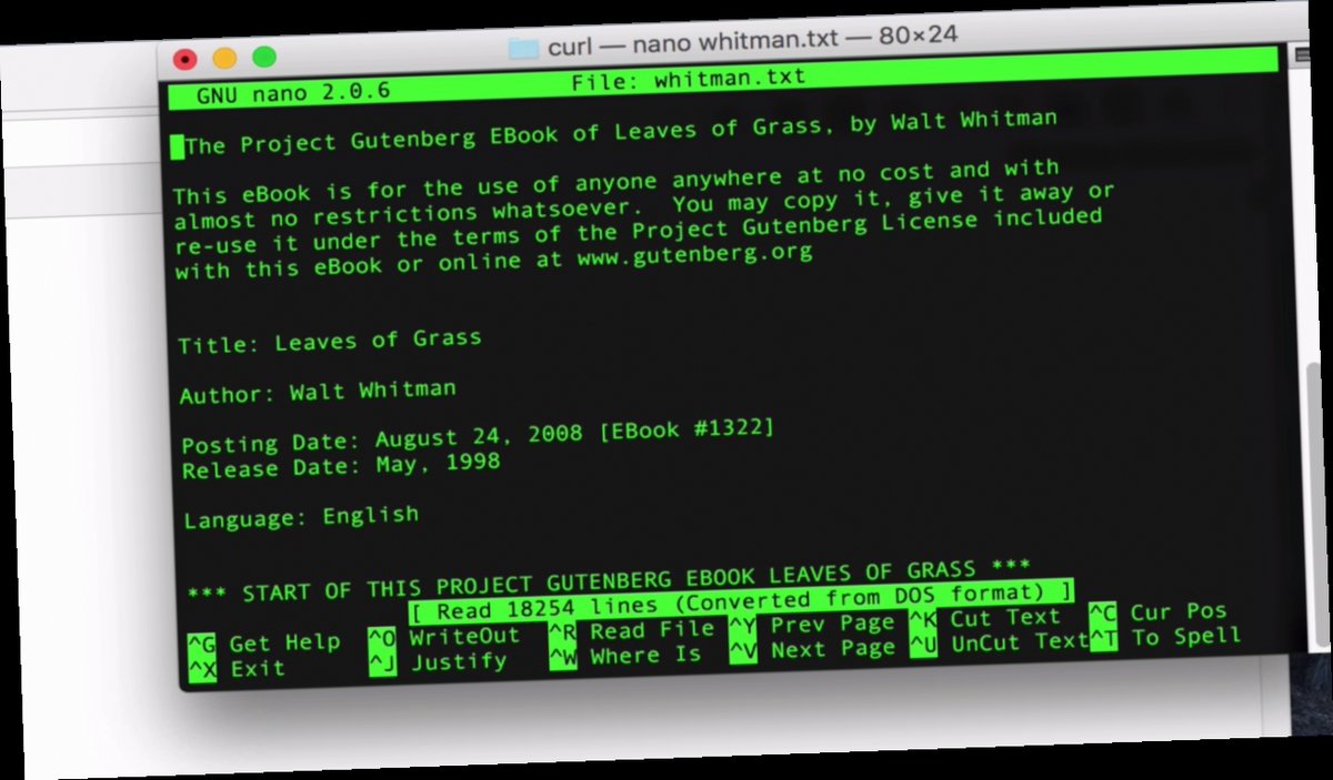 command prompt to download jpg files online / Twitter