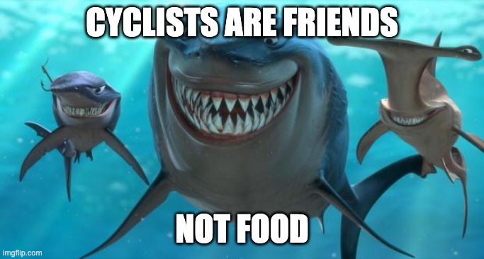 Step 6: Welcome BikesAnyone who says the cyclist is the enemy of the pedestrian is wrong.Walkable cities are bikeable cities, because cyclists thrive in environments that support pedestrians AND because cycling makes cars less necessary.