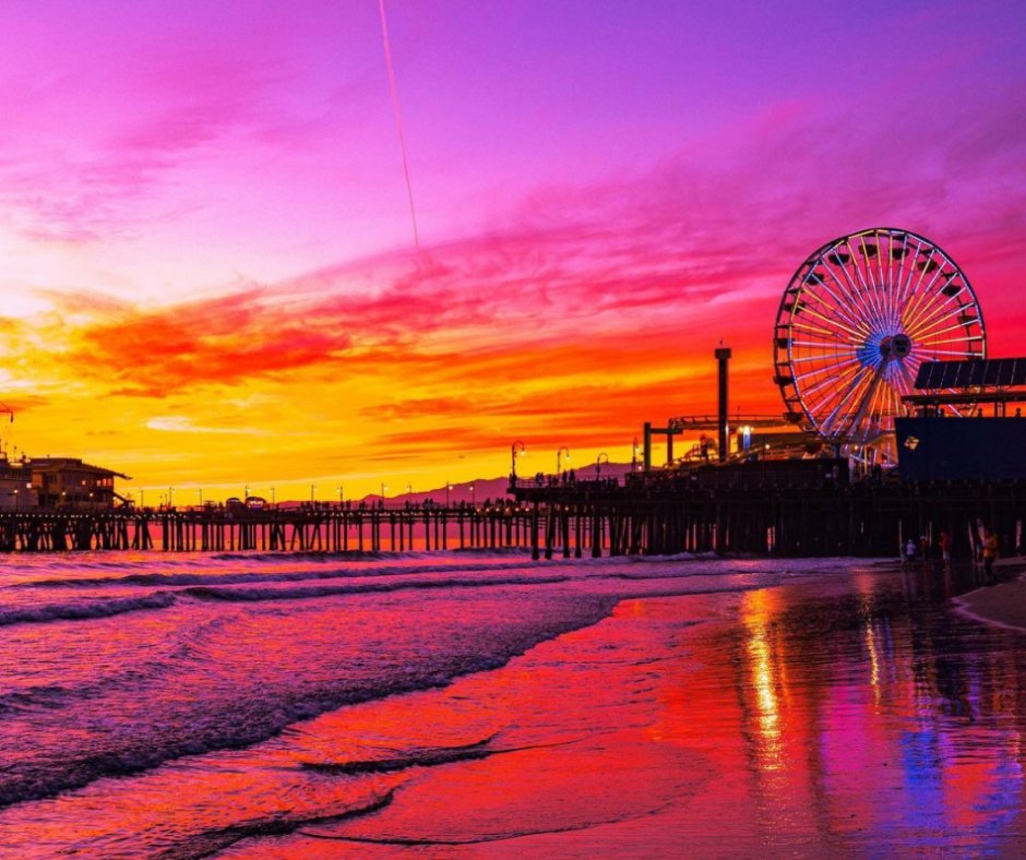 Dogtown Coffee tweet media