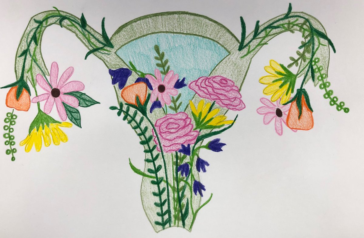 AnneTjadenMD's tweet photo. getting an early start to #acogwellnessweek with @LUMCObGyn by drawing some uteri. thankful for google image searches of “pretty uterus” for the inspiration 😃 https://t.co/3PY32l3zZI