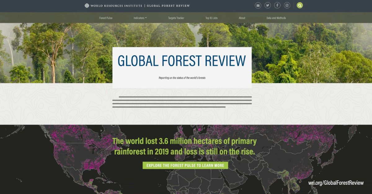 Have questions about the world’s forests? @WorldResources new #GlobalForestReview can help with data ranging from forest extent to carbon emissions. It unpacks #deforestation dynamics & compares trends across countries. gfw.global/36dDuN3 #Forests4Life