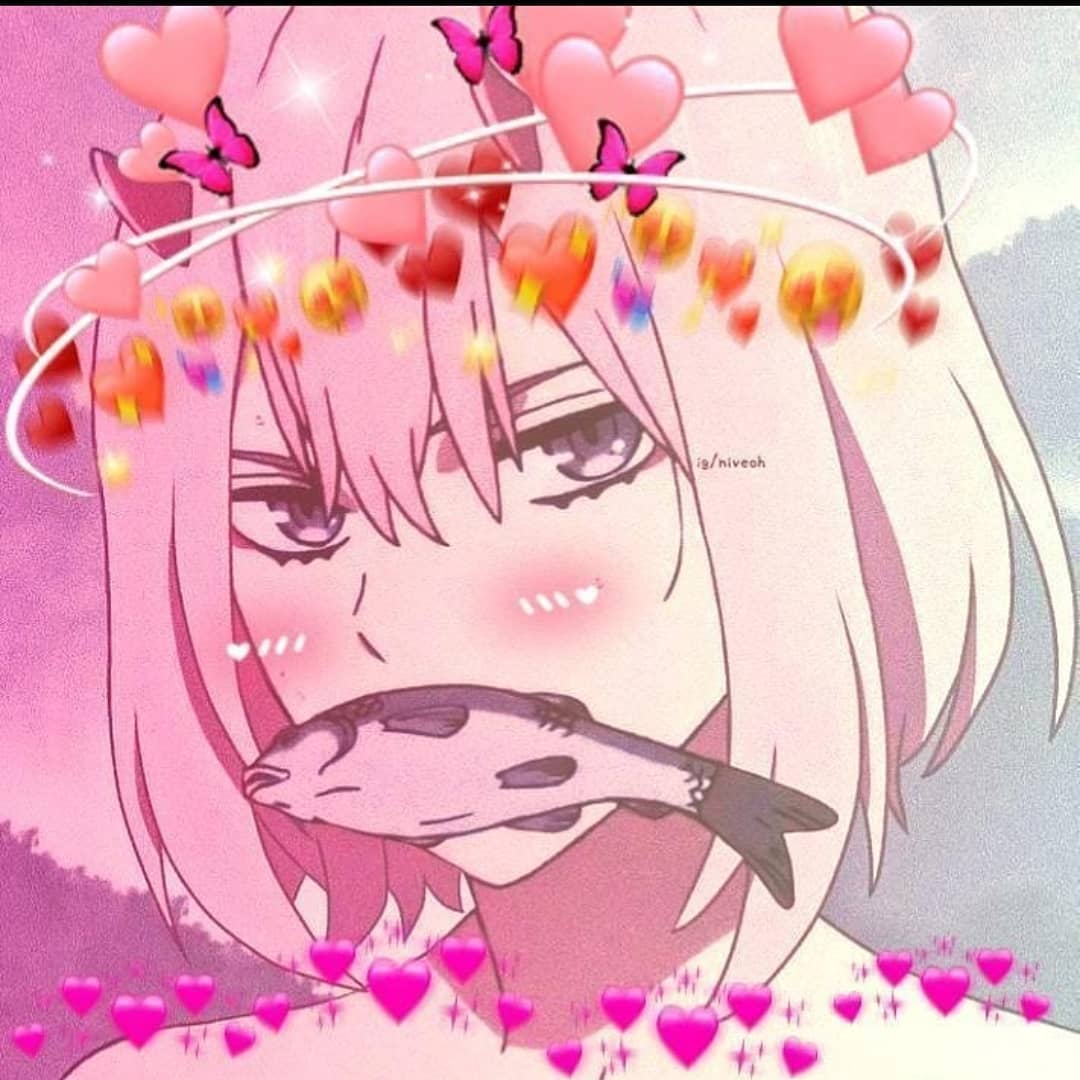 dailyzerotwo's tweet photo. https://t.co/DkI9qASNP9