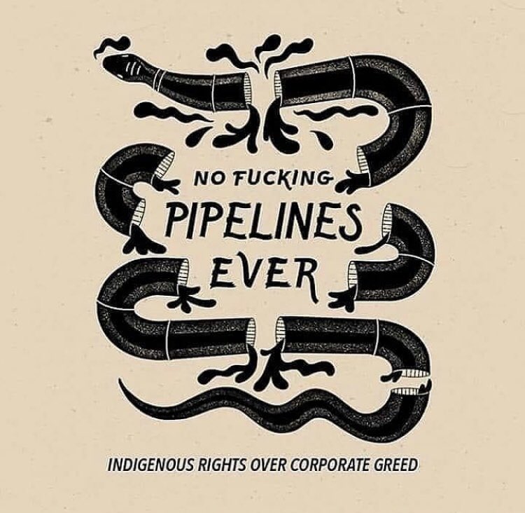 LakotaMan1's tweet photo. Indigenous rights over corporate greed. #NoDAPL https://t.co/2osIpnYHma