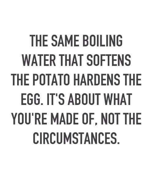 ProcessingHelix's tweet photo. What are you made of? #creditcardprocessing #doublehelixprocessing #growth #habits #motivation #lowrates https://t.co/yBwjtAGHeA